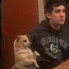 jakeypoov