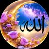 cetin_evin_41.04