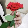 farhachowdhury5