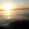 pemo_22
