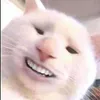 themikael60