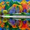 sam_1966s