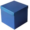 blueboxgirl