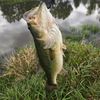 mike_1985_38