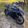 steelhorsecowboyzx_6r