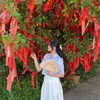 giang_pham25