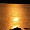 omarabubaker72