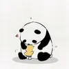 quanquan2404