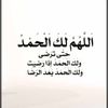 ayda090588