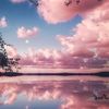 sudeejaveed12