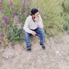 alamir_19