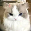 khanhtrang_123
