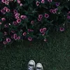 waseason_
