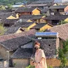 hienle140895