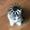 kittenbau
