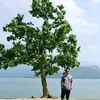 taikhoanbimat69