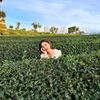 huyen_khenh.94