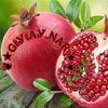 goycay_nari