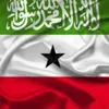 boramawi7