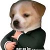 mthanhnhn_