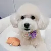 momo.0704toy