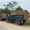 hoang.viet.22