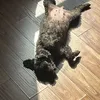 nnnminggg