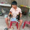 tranvanhoa379