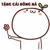 qiao13121