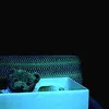 zi_05_ad