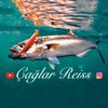 Çağlar Reis