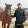abdulbast998