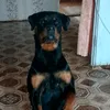 user41905957