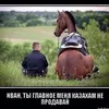 vladenteco