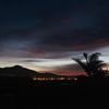 maevacus_mcauley