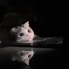 kafpix