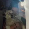 jess_swweet67