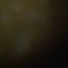 danil_2977