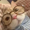 cutie_zoney