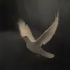 kmera35