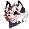 pjayfox