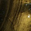 u2622_