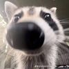 itsjustjansen8