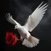monab8