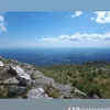 charlygomez48