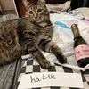 hat1k777