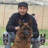bousekranebrahim4