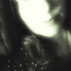 medinawhiterose