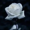 s.h8883