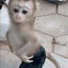 juan_7721